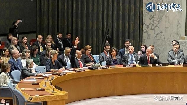 美国一票否决加沙人道决议草案事件详解